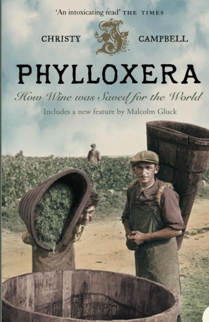 Couverture du livre « PHYLLOXERA » de Campbell, Christy, librairie Les Contes Infusés à Corte