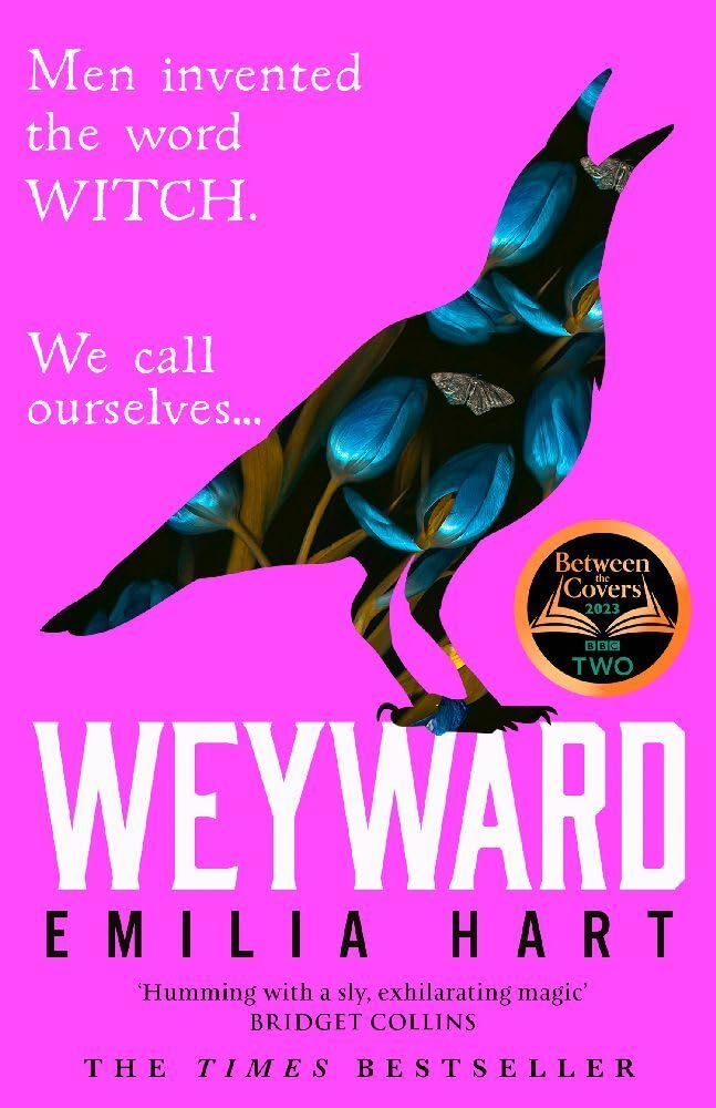 Couverture du livre « WEYWARD », librairie Les Contes Infusés à Corte