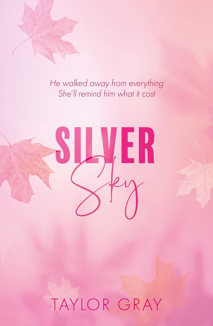 Couverture du livre « THE CARTER BROTHERS - SILVER SKY » de Taylor Gray, librairie Les Contes Infusés à Corte