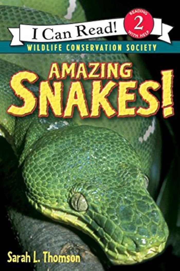 Couverture du livre « AMAZING SNAKES », librairie Les Contes Infusés à Corte