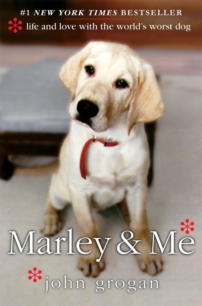 Couverture du livre « MARLEY AND ME » de Grogan, John, librairie Les Contes Infusés à Corte