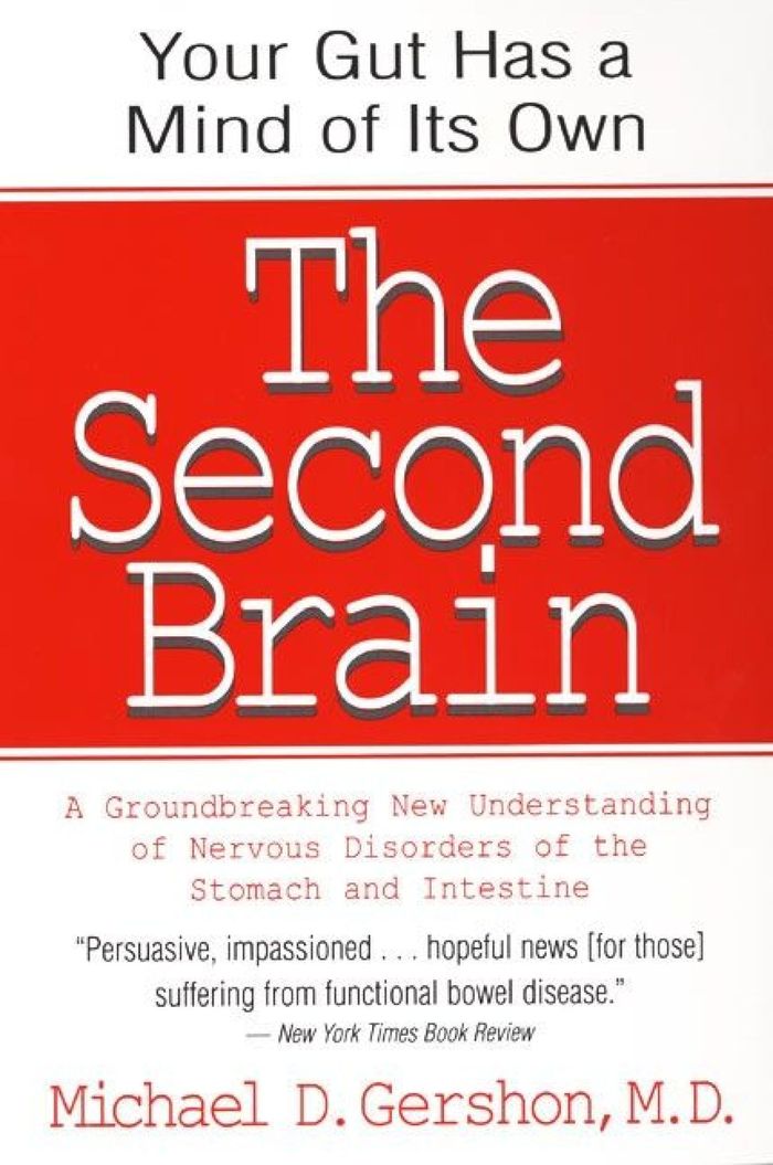 Couverture du livre « THE SECOND BRAIN », librairie Les Contes Infusés à Corte