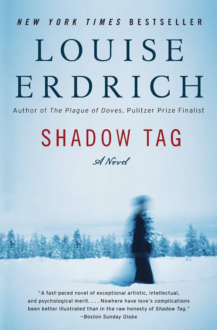 Couverture du livre « SHADOW TAG », librairie Les Contes Infusés à Corte