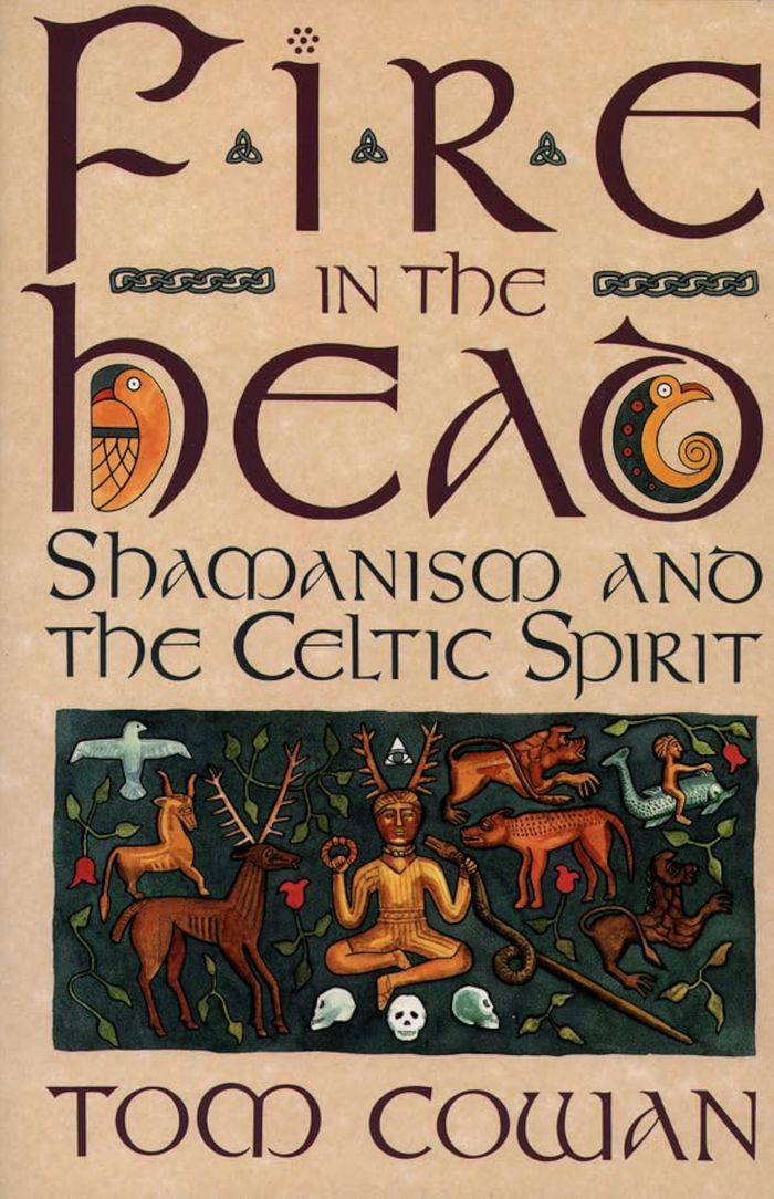 Couverture du livre « FIRE IN THE HEAD: SHAMANISM AND THE CELTIC SPIRIT » de Tim Cowan, librairie Les Contes Infusés à Corte