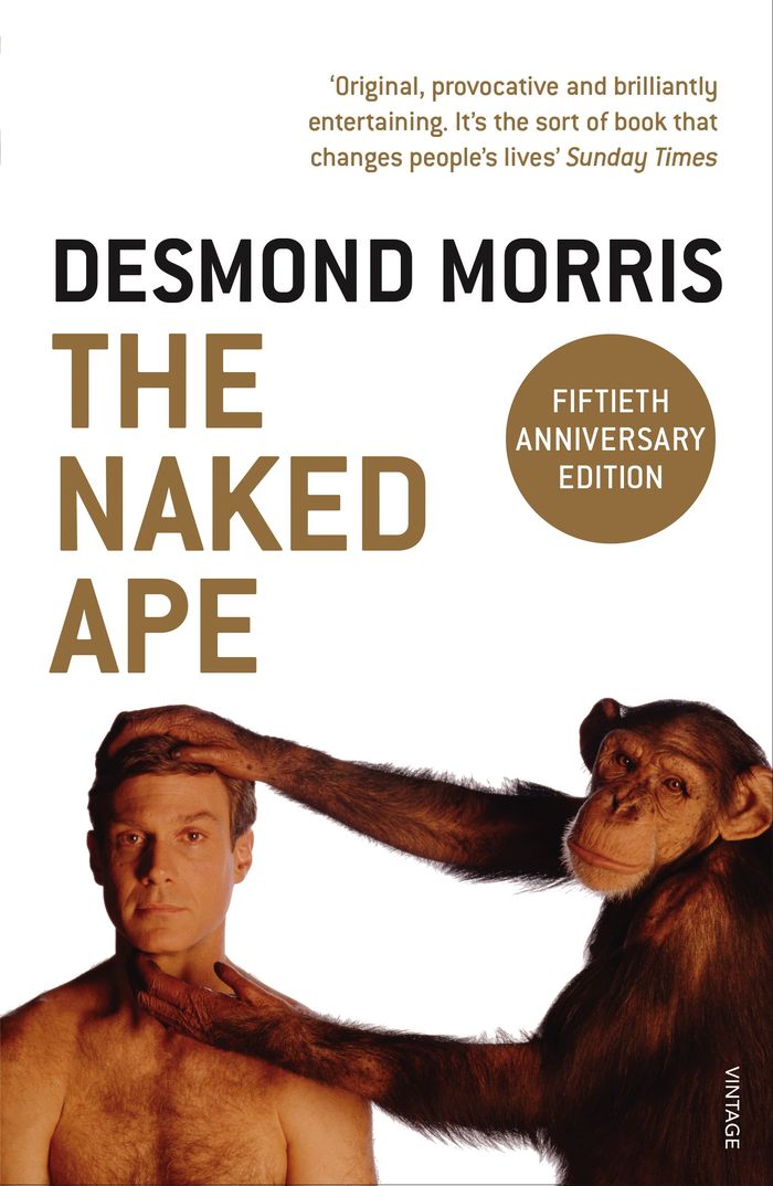 Couverture du livre « THE NAKED APE - A ZOOLOGIST'S STUDY OF THE HUMAN ANIMAL » de Desmond Morris, librairie Les Contes Infusés à Corte