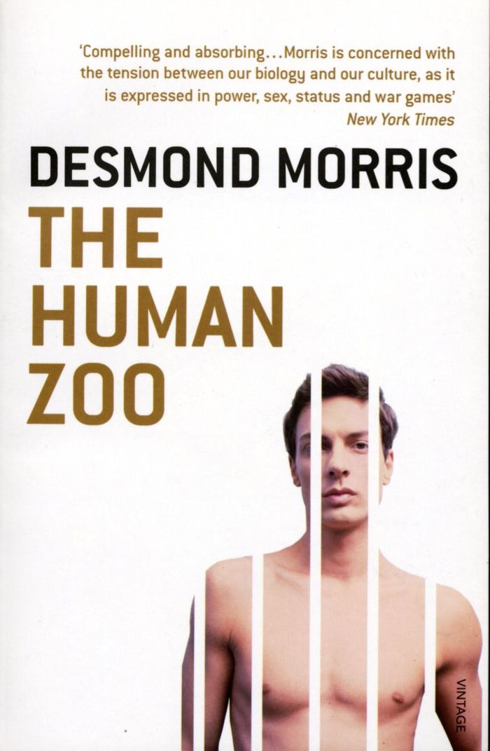 Couverture du livre « THE HUMAN ZOO » de Desmond Morris, librairie Les Contes Infusés à Corte