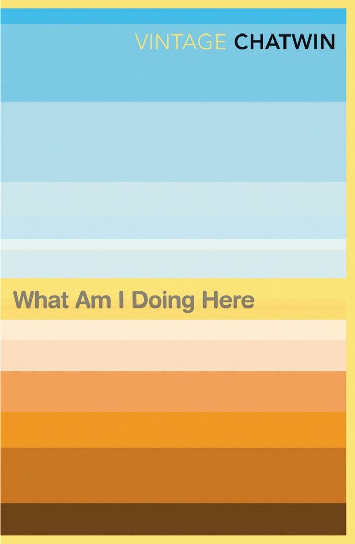 Couverture du livre « WHAT AM I DOING HERE? », librairie Les Contes Infusés à Corte