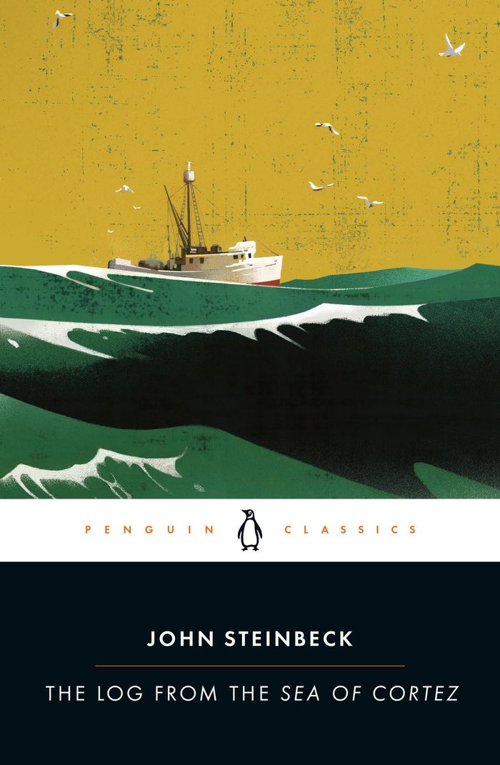 Couverture du livre « THE LOG FROM THE SEA OF CORTEZ » de Steinbeck/astro, librairie Les Contes Infusés à Corte
