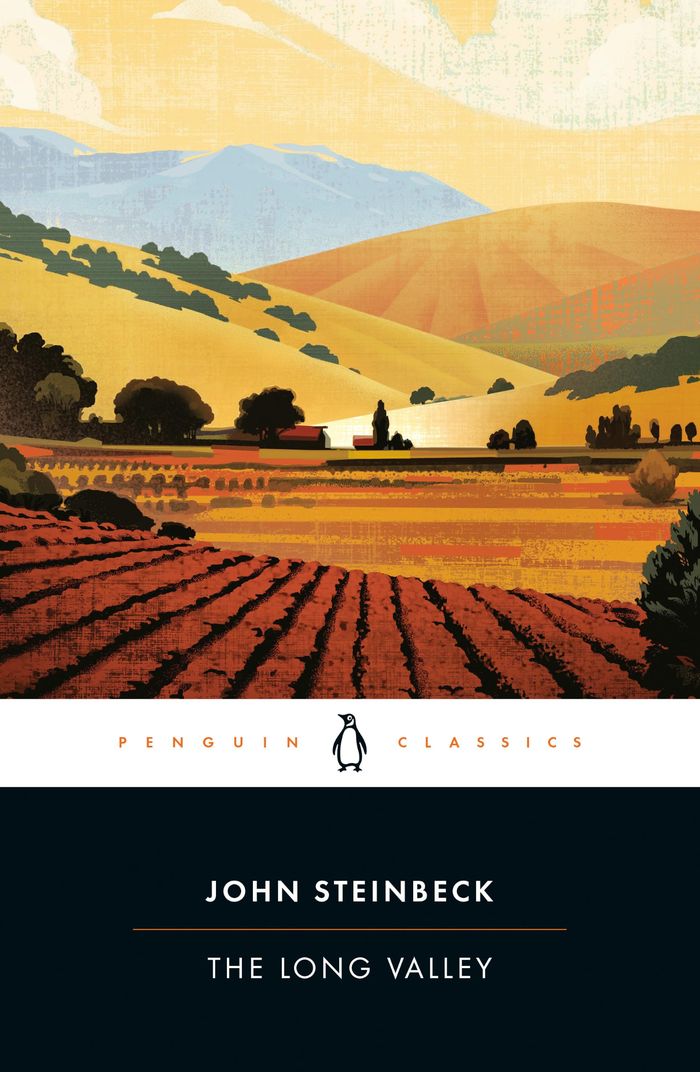 Couverture du livre « THE LONG VALLEY », librairie Les Contes Infusés à Corte