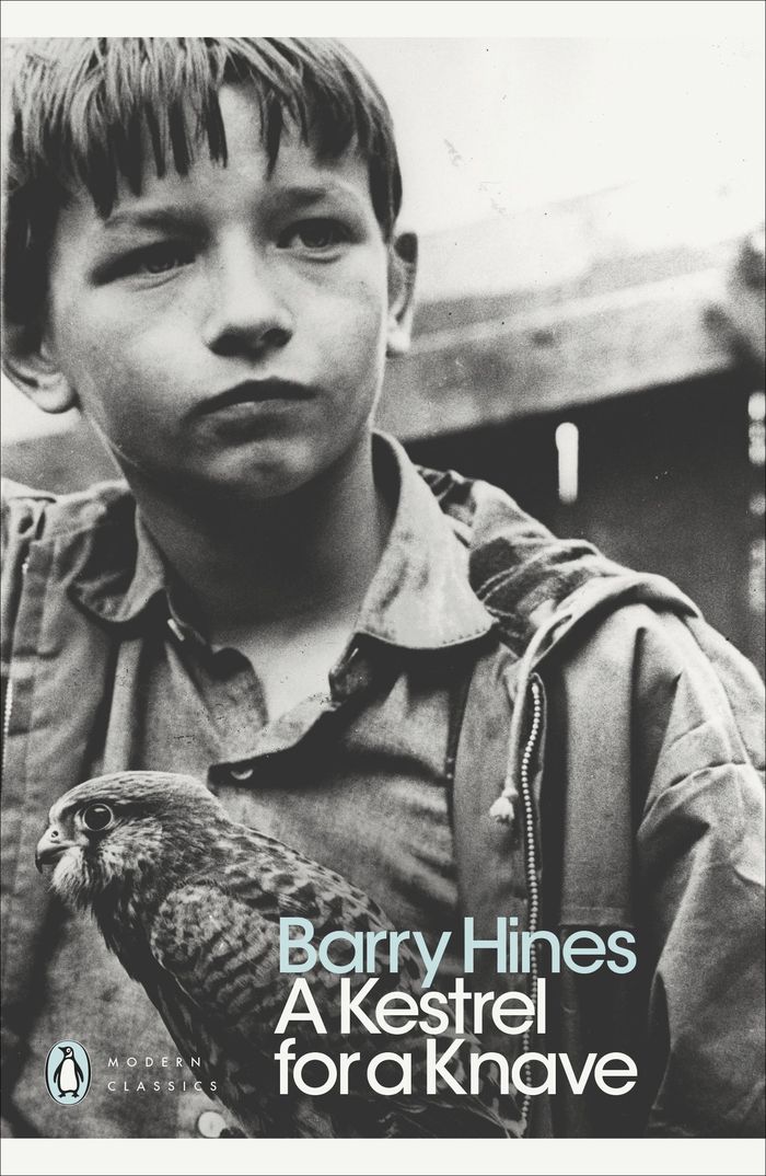 Couverture du livre « PENGUIN MODERN CLASSICS - A KESTREL FOR A KNAVE » de Barry Hines, librairie Les Contes Infusés à Corte
