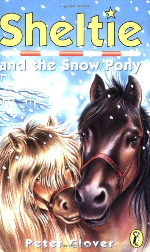 Couverture du livre « SHELTIE AND THE SNOW PONY (13) » de Peter Clover, librairie Les Contes Infusés à Corte