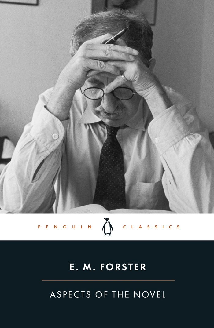 Couverture du livre « ASPECTS OF THE NOVEL », librairie Les Contes Infusés à Corte