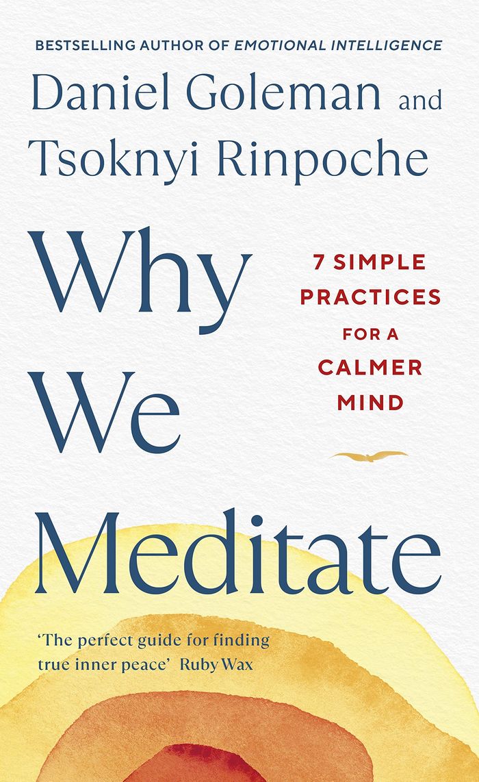 Couverture du livre « WHY WE MEDITATE - 7 SIMPLE PRACTICES FOR A CALMER MIND », librairie Les Contes Infusés à Corte