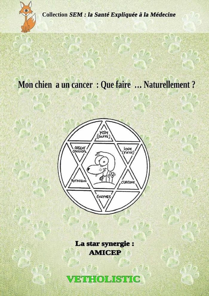 Couverture du livre « MON CHIEN A UN CANCER : QUE FAIRE.. NATURELLEMENT ? » de Vetholistic, librairie Les Contes Infusés à Corte