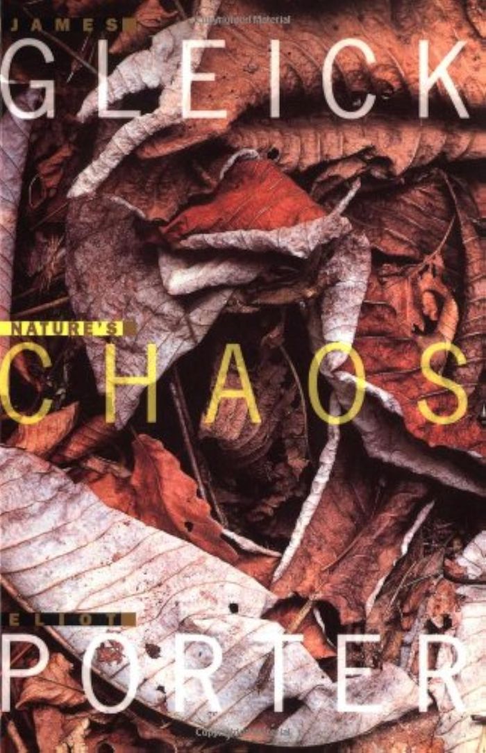 Couverture du livre « NATURE S CHAOS » de James Gleick, librairie Les Contes Infusés à Corte