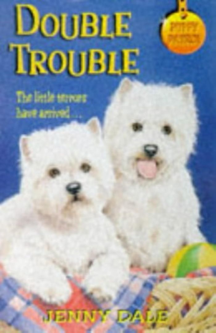 Couverture du livre « DOUBLE TROUBLE », librairie Les Contes Infusés à Corte