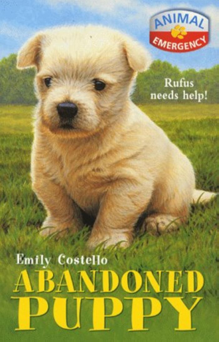 Couverture du livre « ANIMAL EMRGENCY: ABANDONED PUPPY » de Macmillan, librairie Les Contes Infusés à Corte