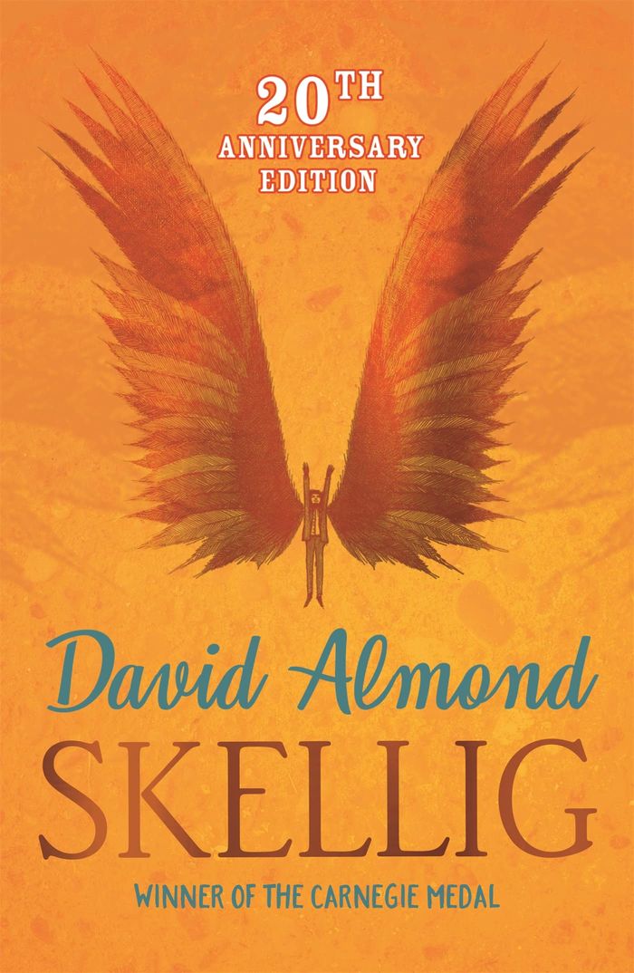 Couverture du livre « SKELLIG », librairie Les Contes Infusés à Corte