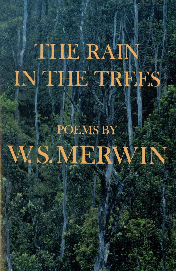 Couverture du livre « THE RAIN IN THE TREES », librairie Les Contes Infusés à Corte