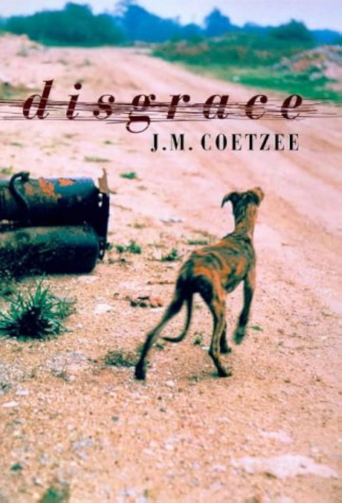 Couverture du livre « DISGRACE », librairie Les Contes Infusés à Corte