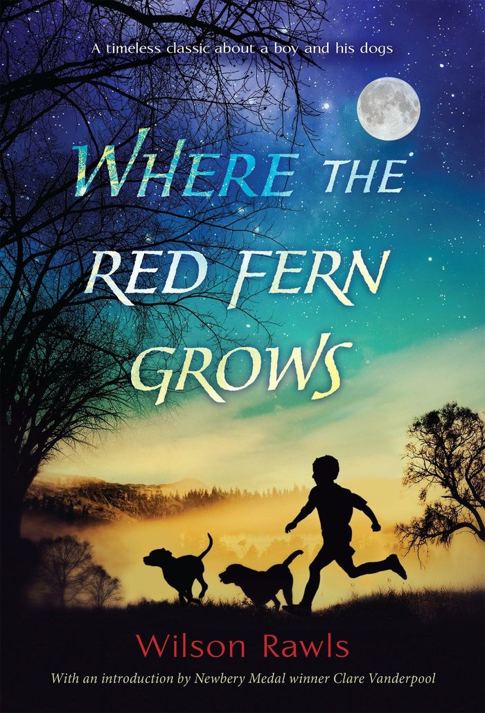 Couverture du livre « WHERE THE RED FERN GROWS » de Wilson Rawls, librairie Les Contes Infusés à Corte