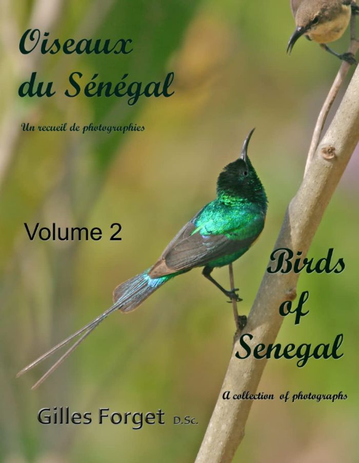 Couverture du livre « OISEAUX DU SENEGAL: UN RECUEIL DE PHOTOGRAPHIES -VOL 2 » de Gilles Forget, librairie Les Contes Infusés à Corte