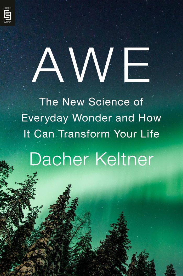 Couverture du livre « AWE - THE NEW SCIENCE OF EVERYDAY WONDER AND HOW IT CAN TRANSFORM YOUR LIFE » de Dacher Keltner, librairie Les Contes Infusés à Corte