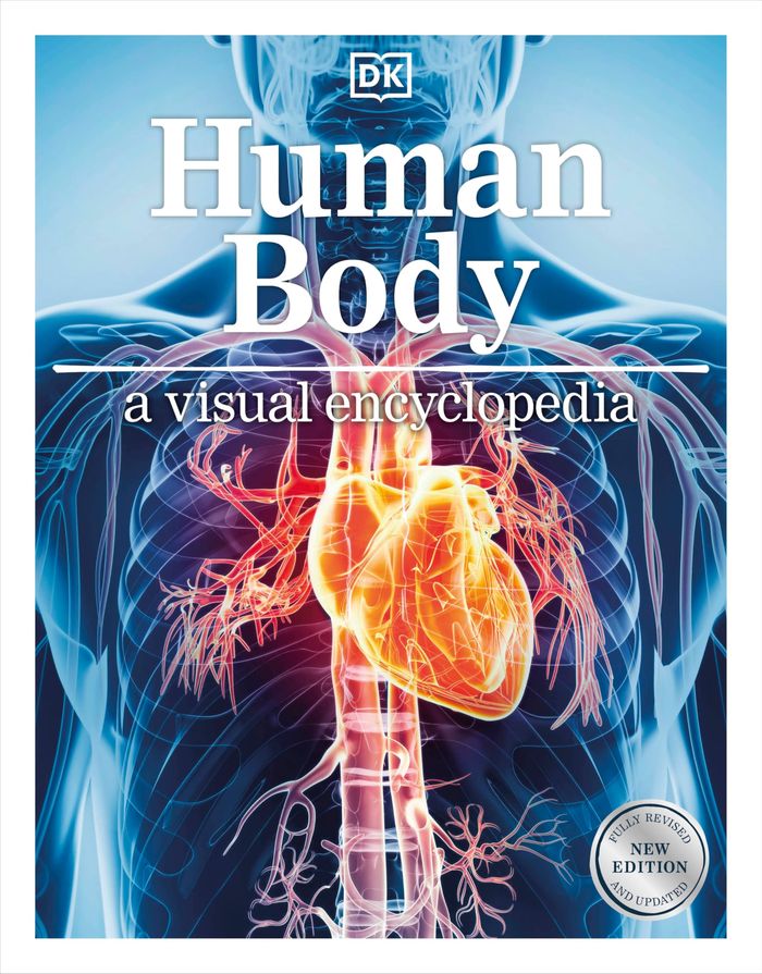 Couverture du livre « HUMAN BODY - A VISUAL ENCYCLOPEDIA OF HOW THE BODY WORKS » de Dk, librairie Les Contes Infusés à Corte