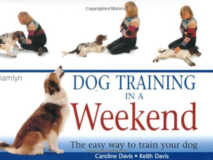Couverture du livre « DOG TRAINING IN A WEEKEND » de Davis, Caroline, Dav, librairie Les Contes Infusés à Corte