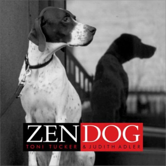 Couverture du livre « ZEN DOG » de Toni Tucker, librairie Les Contes Infusés à Corte