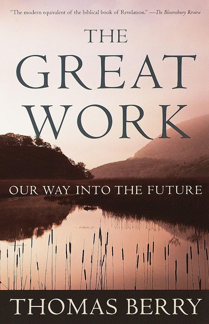 Couverture du livre « THE GREAT WORK - OUR WAY INTO THE FUTURE » de Thomas Berry, librairie Les Contes Infusés à Corte