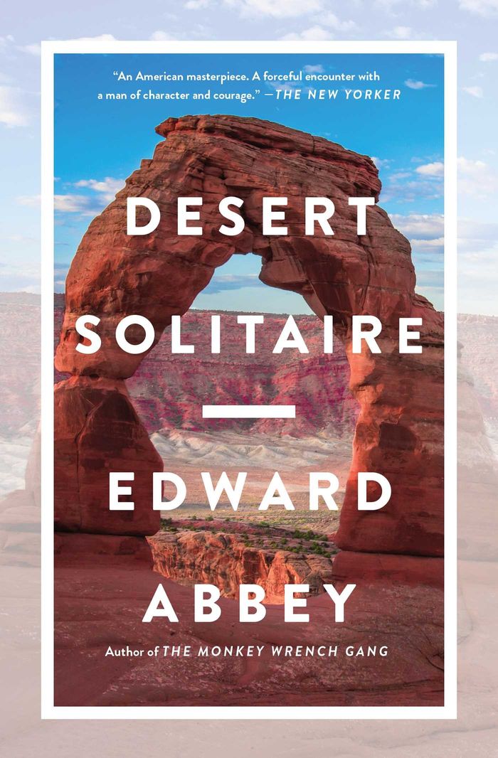 Couverture du livre « DESERT SOLITAIRE », librairie Les Contes Infusés à Corte