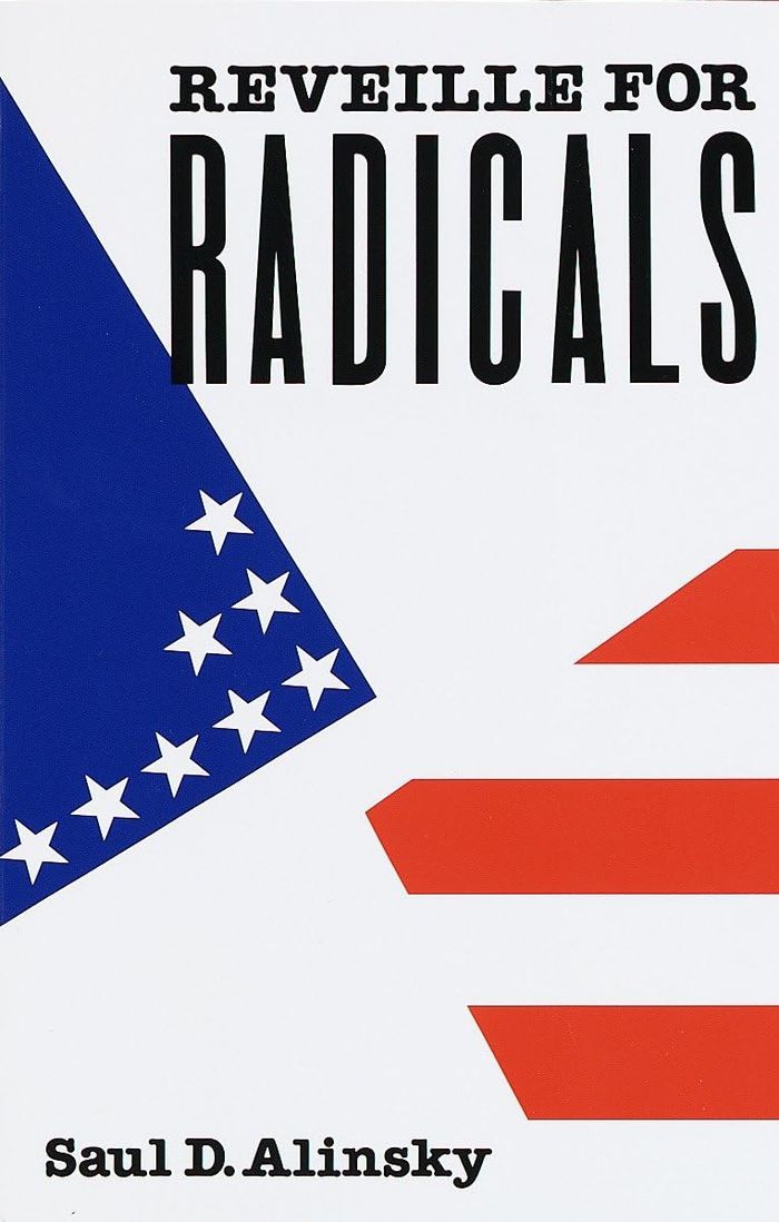 Couverture du livre « REVEILLE FOR RADICALS », librairie Les Contes Infusés à Corte