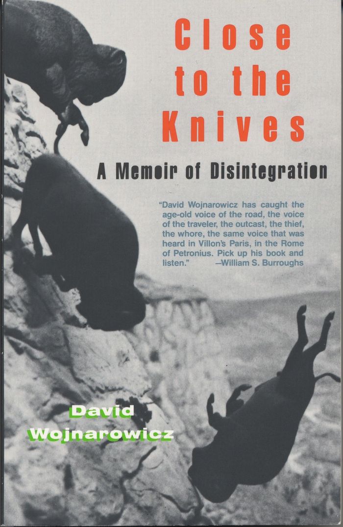 Couverture du livre « CLOSE TO THE KNIVES - A MEMOIR OF DISINTEGRATION » de David Wojnarowicz, librairie Les Contes Infusés à Corte