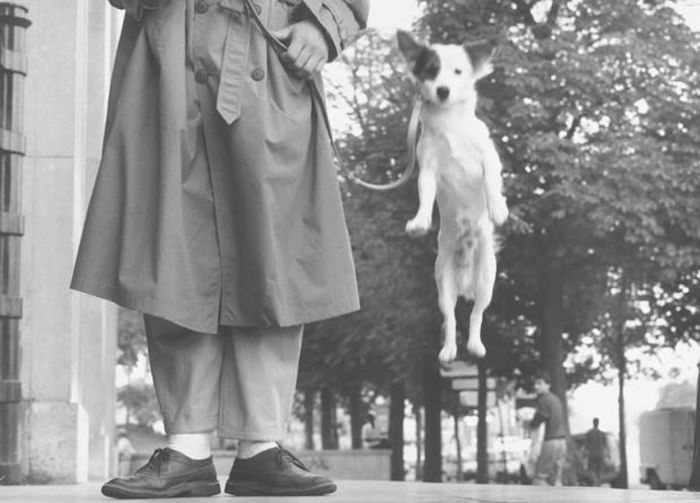 Couverture du livre « PARIS » de Elliot Erwitt, librairie Les Contes Infusés à Corte