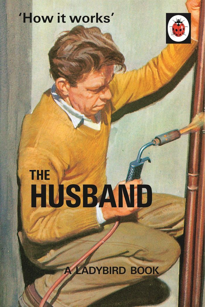 Couverture du livre « LADYBIRDS FOR GROWN-UPS - HOW IT WORKS: THE HUSBAND » de Hazeley/morris, librairie Les Contes Infusés à Corte