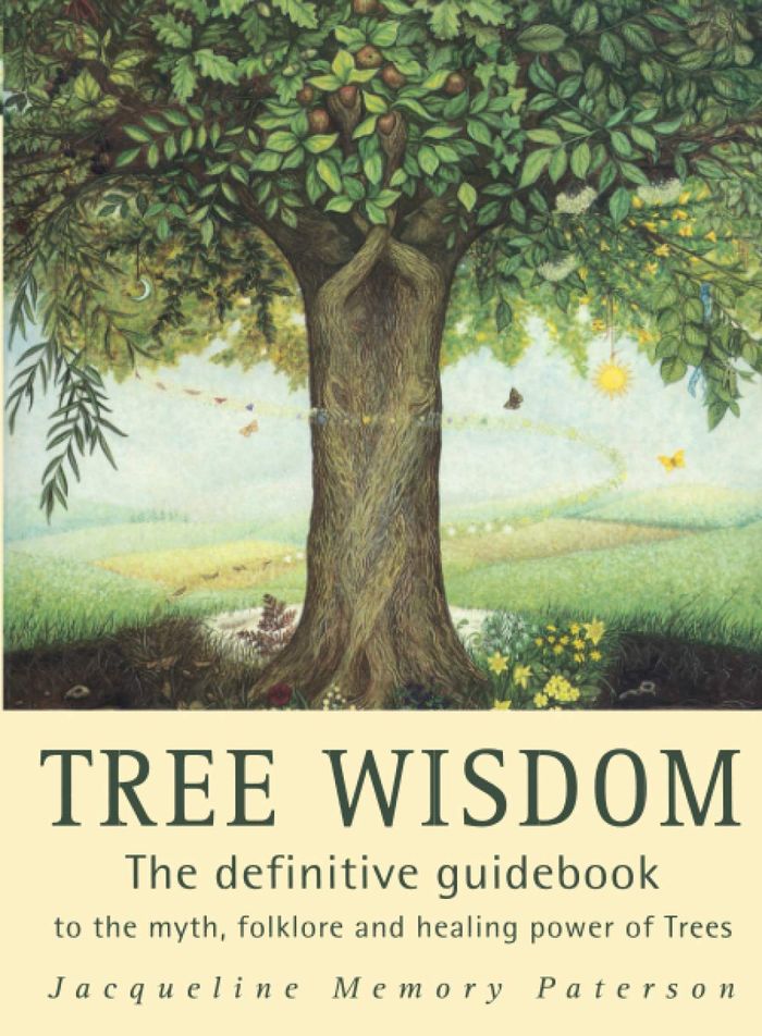 Couverture du livre « TREE WISDOM », librairie Les Contes Infusés à Corte