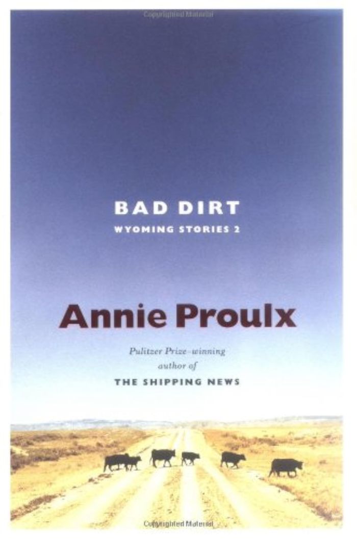 Couverture du livre « BAD DIRT » de Proulx, Annie, librairie Les Contes Infusés à Corte