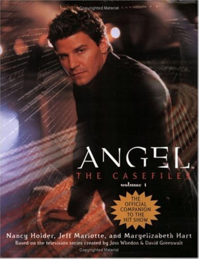 Couverture du livre « ANGEL THE CASEFILES VOLUME 1 », librairie Les Contes Infusés à Corte