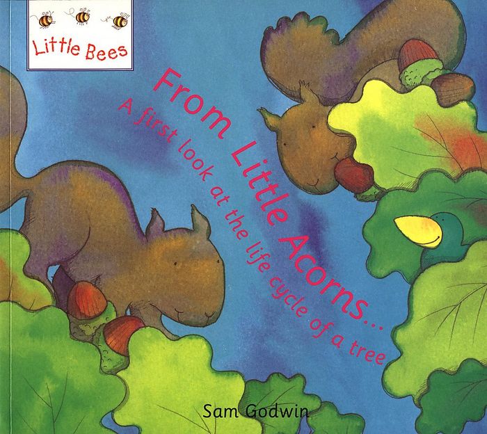 Couverture du livre « FROM LITTLE ACORNS (LITTLE BEES) » de Godwin/, librairie Les Contes Infusés à Corte