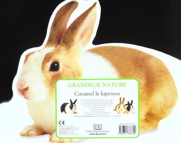 Quatrième de couverture de « CARAMEL LE LAPEREAU »