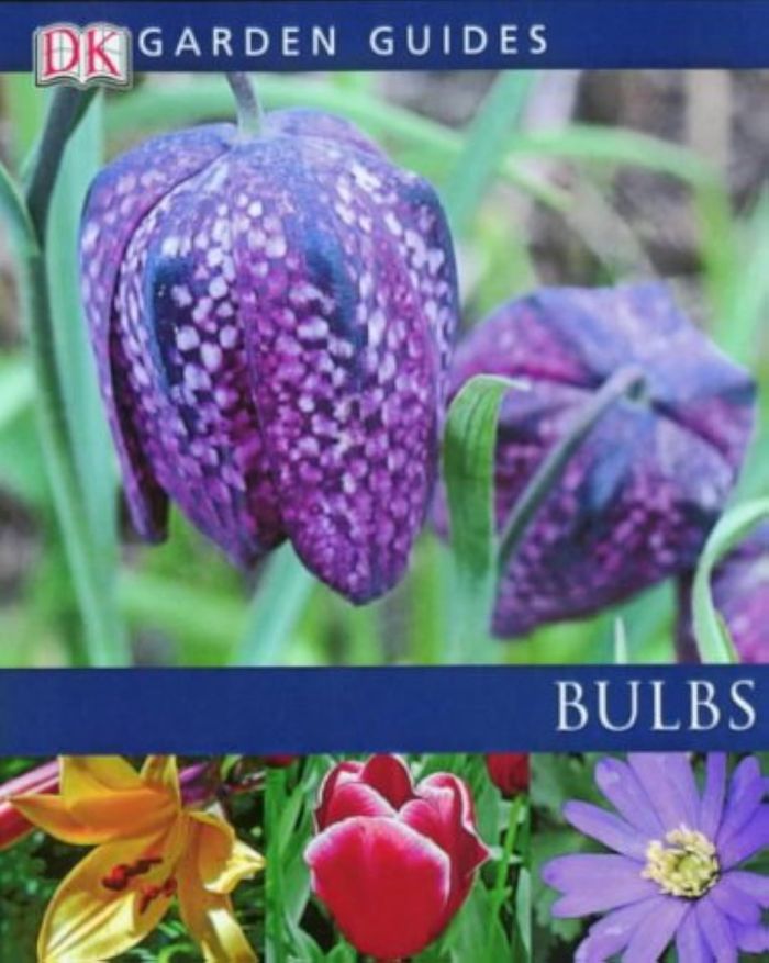 Couverture du livre « BULBS », librairie Les Contes Infusés à Corte