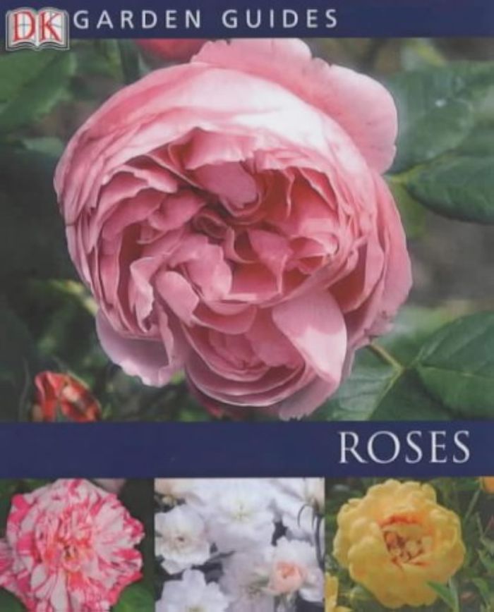 Couverture du livre « ROSES » de Collectif, librairie Les Contes Infusés à Corte