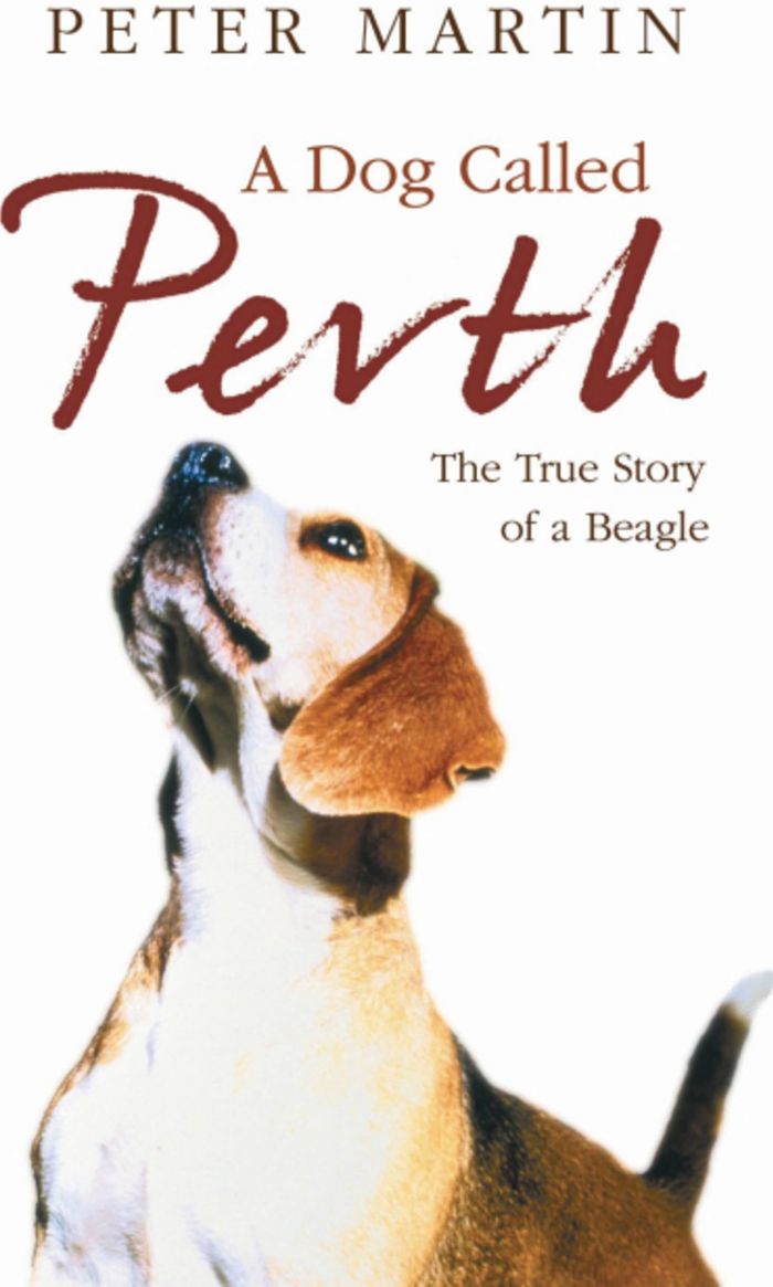 Couverture du livre « A DOG CALLED PERTH » de Martin, Peter, librairie Les Contes Infusés à Corte