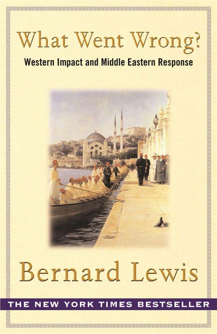 Couverture du livre « WHAT WENT WRONG » de Lewis, Bernard, librairie Les Contes Infusés à Corte