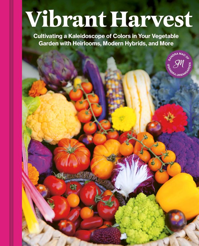 Couverture du livre « VIBRANT HARVEST - CULTIVATING A KALEIDOSCOPE OF COLORS IN YOUR VEGETABLE GARDEN WITH HEIRLOOMS, MODE » de Sandra Mao, librairie Les Contes Infusés à Corte