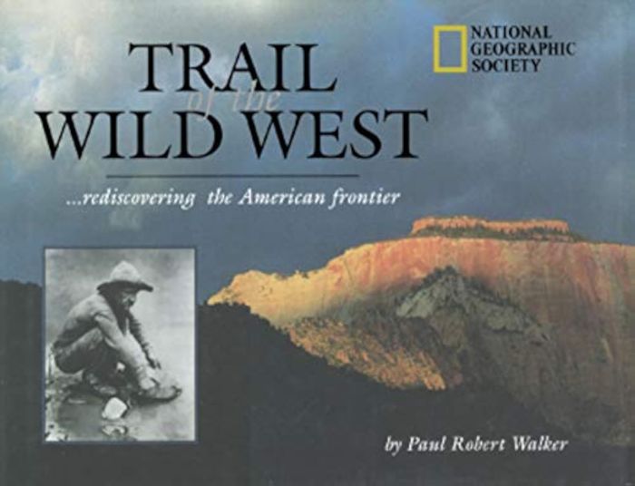 Couverture du livre « SOUTHWEST GOLD GOD AND GRANDEUR » de Walker Paul Rob, librairie Les Contes Infusés à Corte