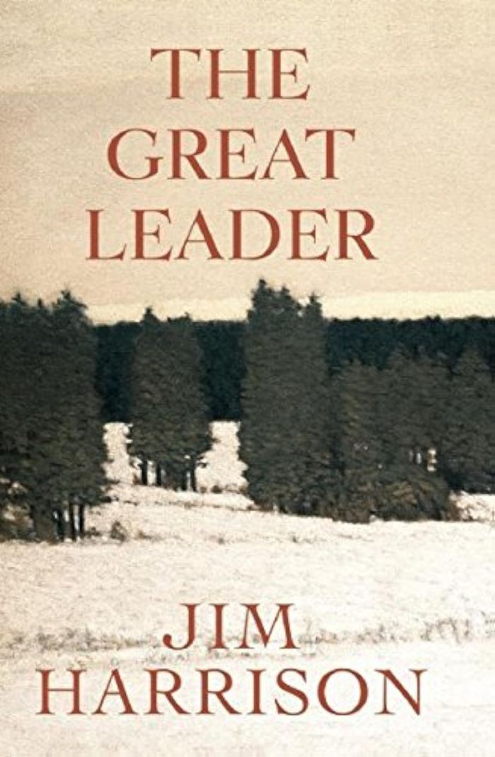 Couverture du livre « THE GREAT LEADER - A FAUX MYSTERY », librairie Les Contes Infusés à Corte