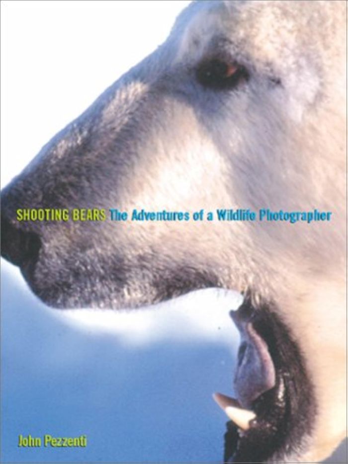 Couverture du livre « SHOOTING BEARS », librairie Les Contes Infusés à Corte