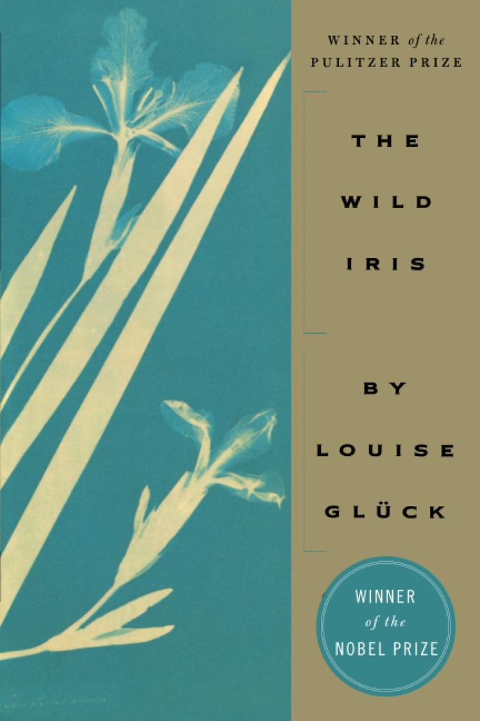 Couverture du livre « WILD IRIS », librairie Les Contes Infusés à Corte